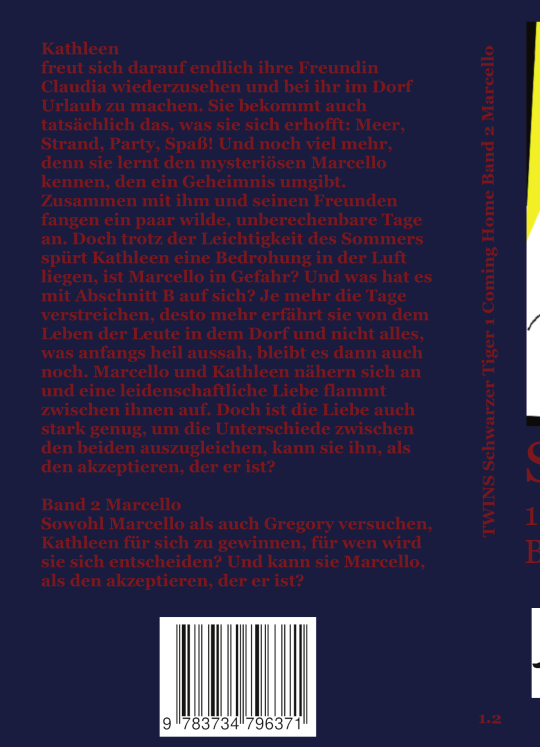 Backcover Schwarzer Tiger Buch 1 Coming Home: Band 2 Marcello von TWINS
