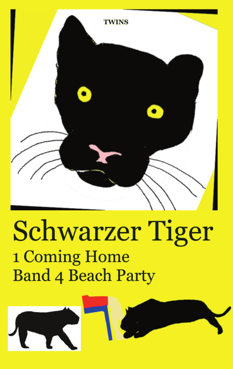 Frontcover Schwarzer Tiger Buch 1 Coming Home: Band 4 Beach Party von TWINS