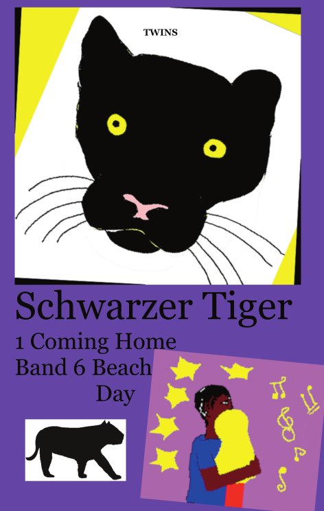 Frontcover Schwarzer Tiger Buch 1 Coming Home: Band 6 Beach Day von TWINS