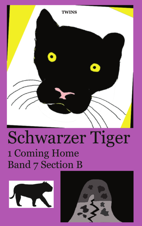 Frontcover Schwarzer Tiger Buch 1 Coming Home: Band 7 Section B von TWINS