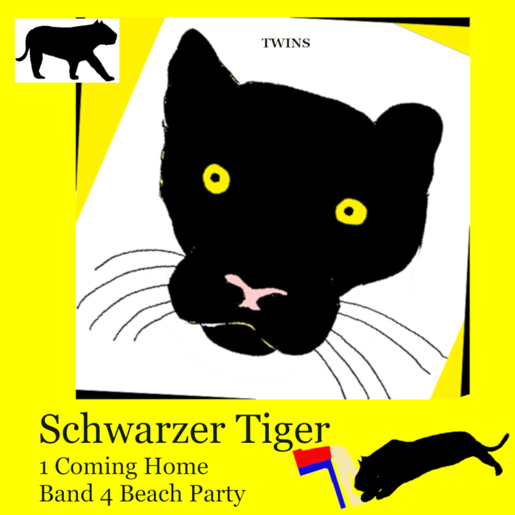 Hoerbuch Schwarzer Tiger Buch 1 Coming Home: Band 4 Beach Party von TWINS