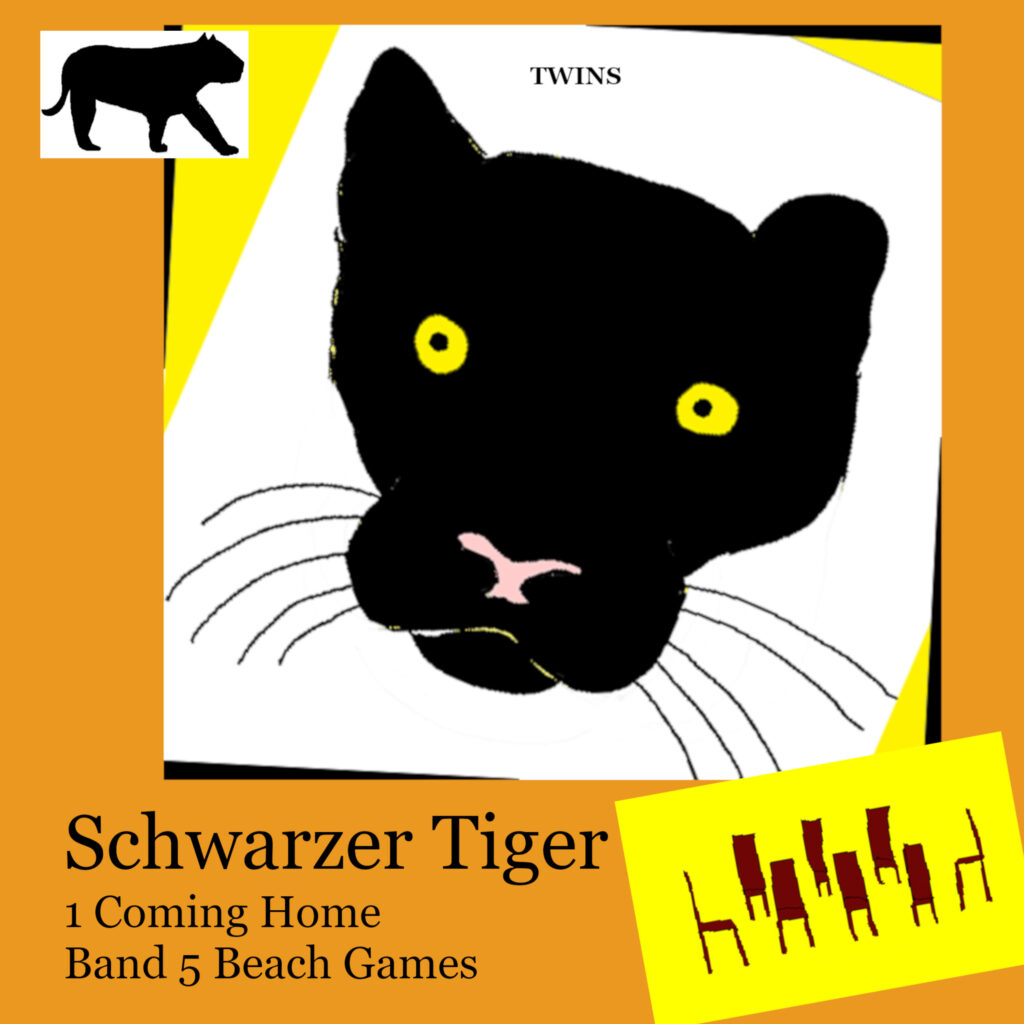 Hoerbuch Schwarzer Tiger Buch 1 Coming Home: Band 5 Beach Games von TWINS