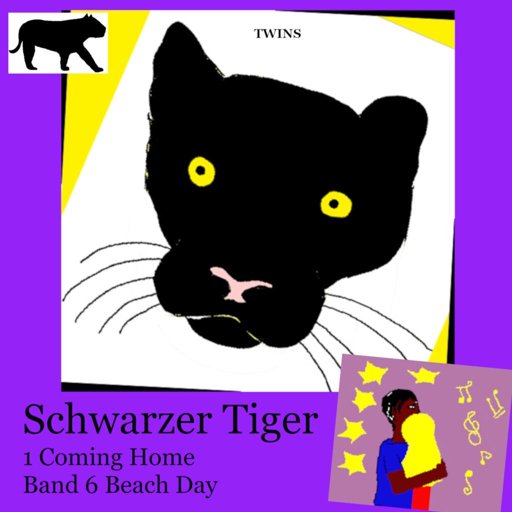 Hoerbuch Schwarzer Tiger Buch 1 Coming Home: Band 6 Beach Day von TWINS