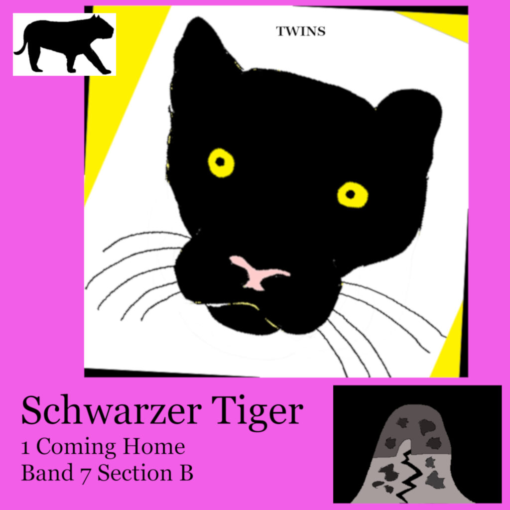 Hoerbuch Schwarzer Tiger Buch 1 Coming Home: Band 7 Section B von TWINS