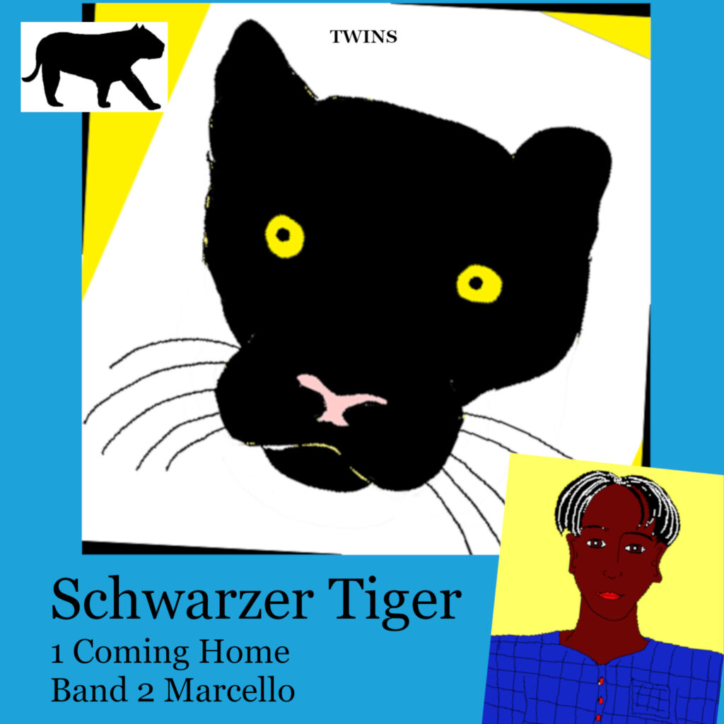 Hoerbuch Schwarzer Tiger Buch 1 Coming Home: Band 2 Marcello von TWINS