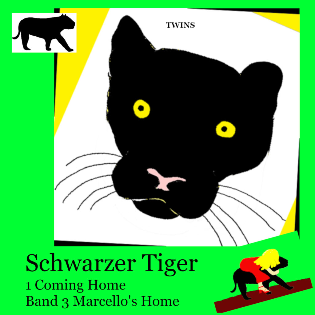 Hoerbuch Schwarzer Tiger Buch 1 Coming Home: Band 3 Marcello's Home von TWINS